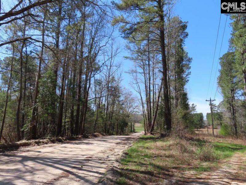 1672 Dixired Road Photo 21