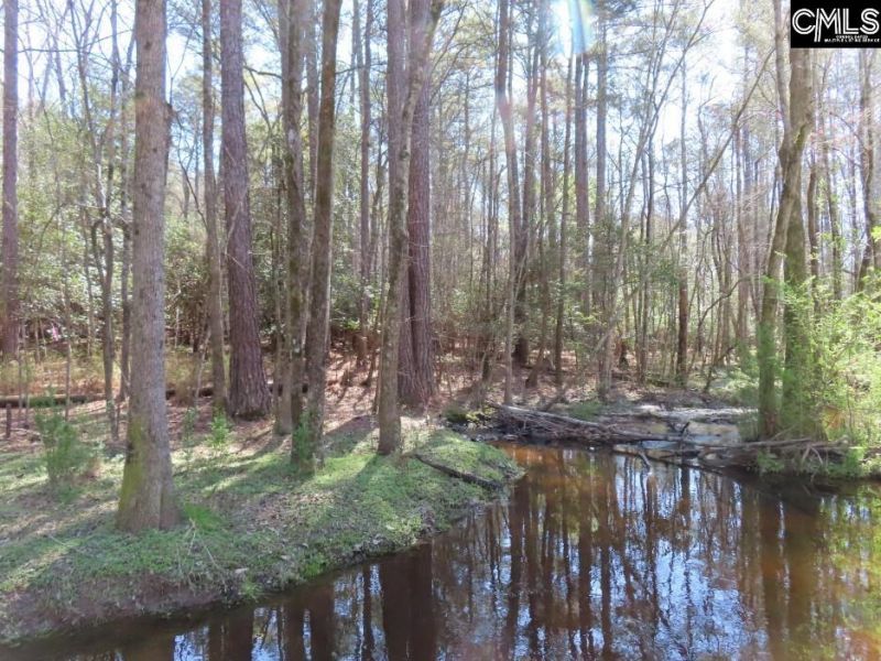 1672 Dixired Road Photo 22