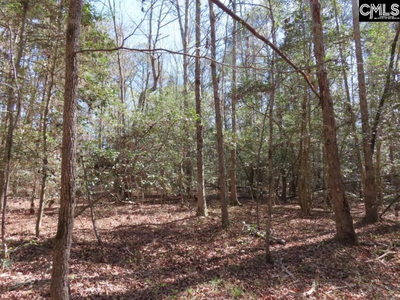 1672 Dixired Road Photo 23