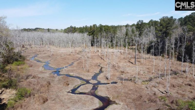 1672 Dixired Road Photo 24