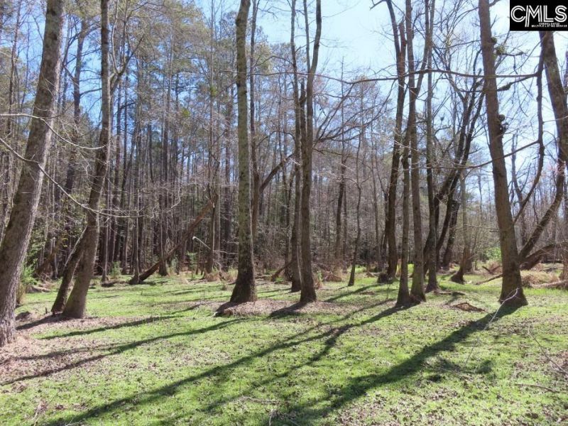 1672 Dixired Road Photo 25