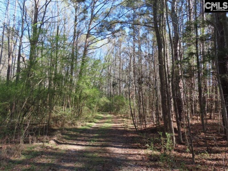 1672 Dixired Road Photo 26