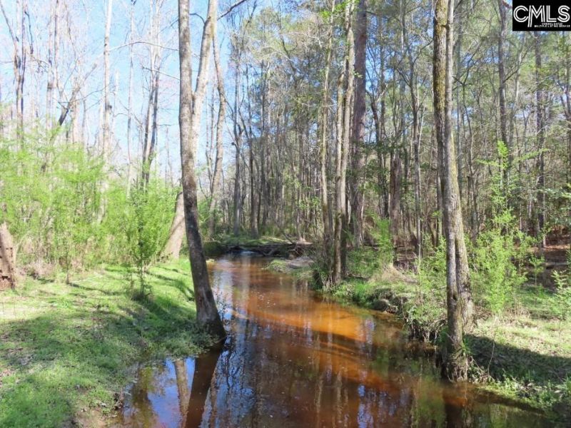 1672 Dixired Road Photo 27