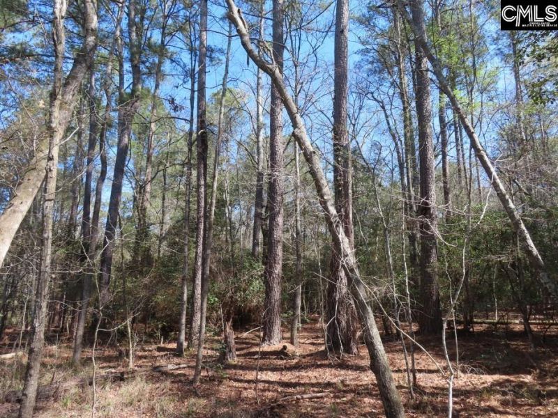 1672 Dixired Road Photo 28