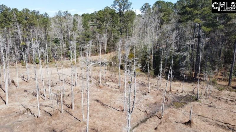 1672 Dixired Road Photo 29