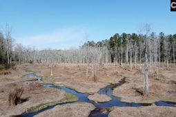 1672 Dixired Road photo 4