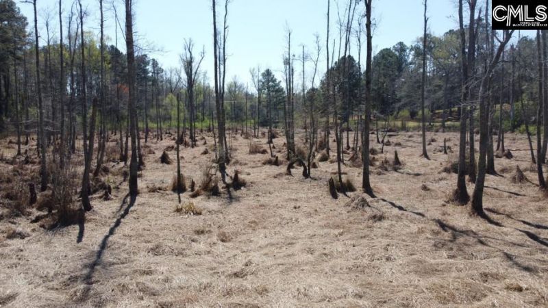 1672 Dixired Road Photo 30