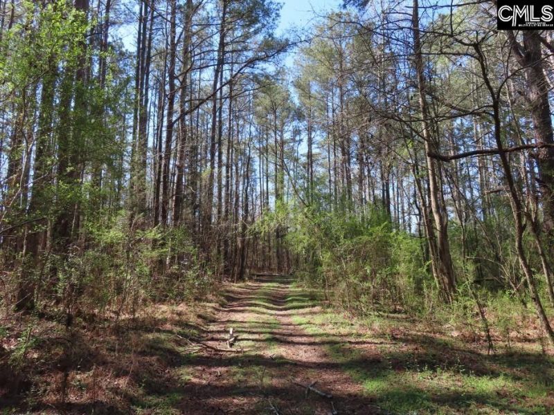 1672 Dixired Road Photo 31