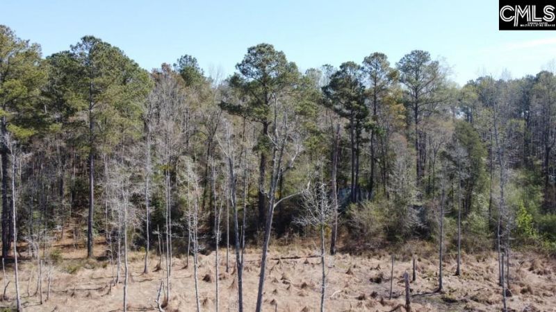 1672 Dixired Road Photo 32