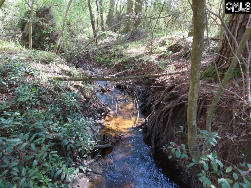 1672 Dixired Road Photo 33