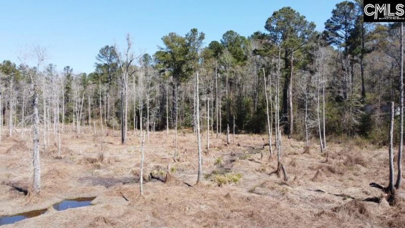 1672 Dixired Road Photo 34