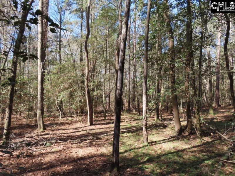 1672 Dixired Road Photo 35