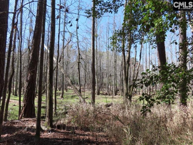 1672 Dixired Road Photo 37