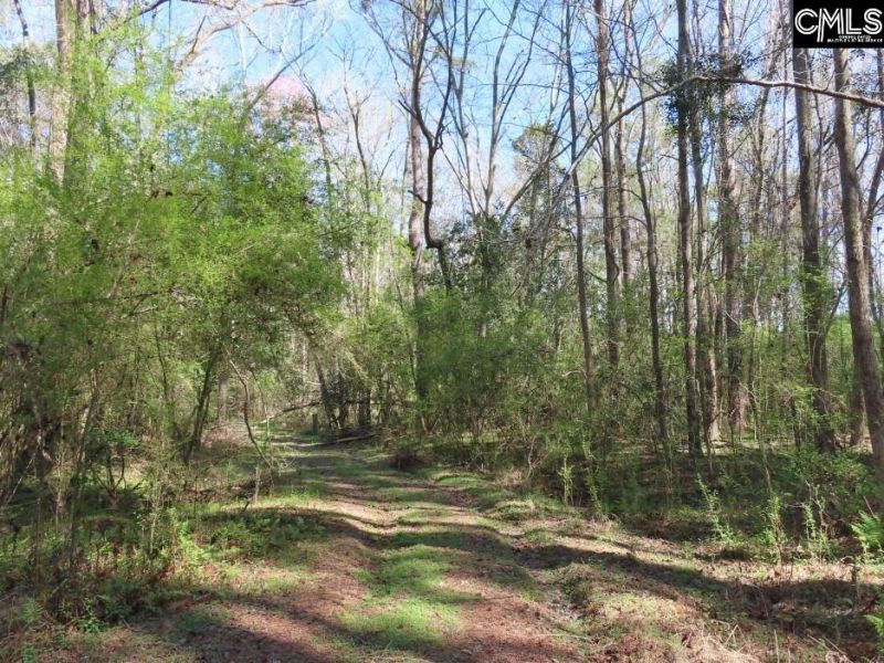 1672 Dixired Road Photo 38