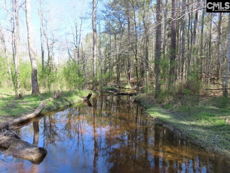 1672 Dixired Road Photo 39