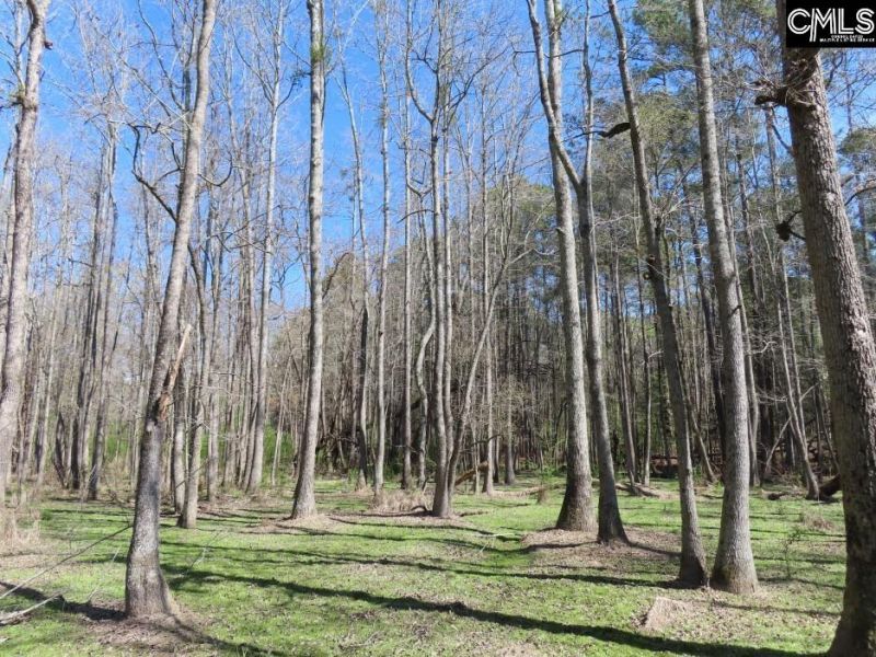 1672 Dixired Road Photo 4