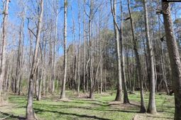 1672 Dixired Road photo 4