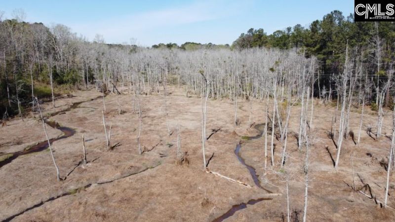 1672 Dixired Road Photo 40