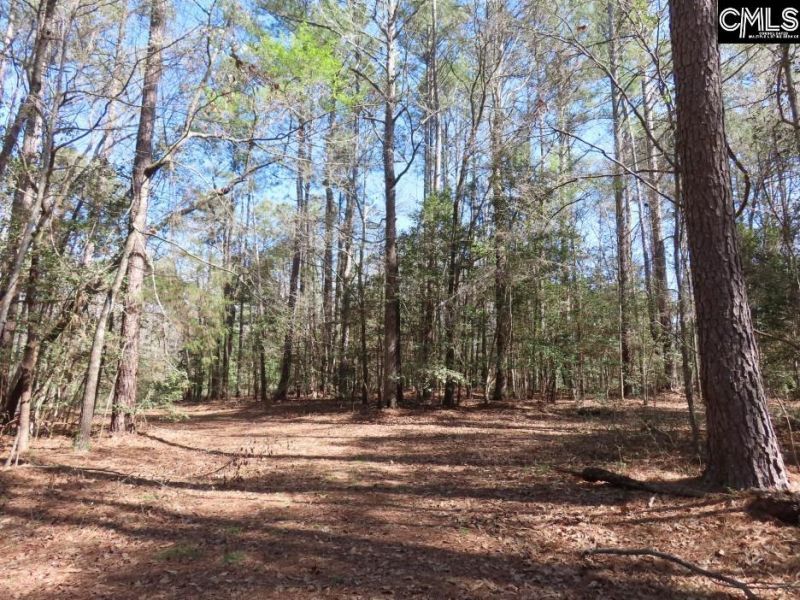 1672 Dixired Road Photo 41