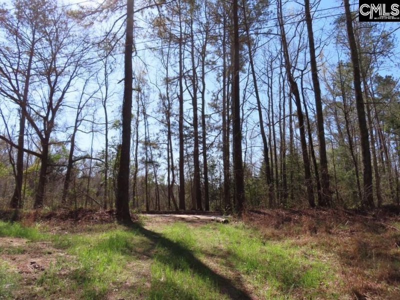 1672 Dixired Road Photo 43