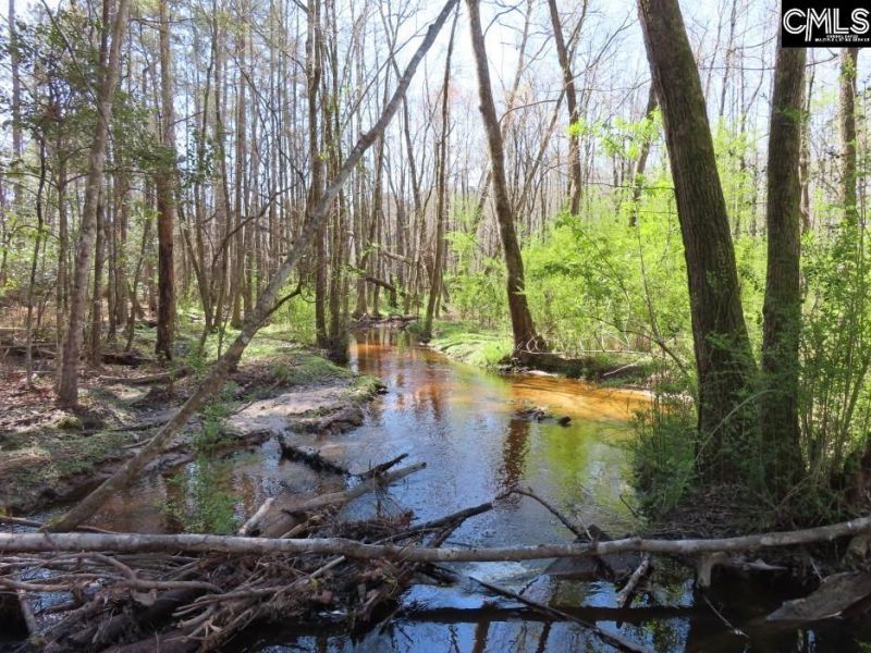 1672 Dixired Road Photo 44