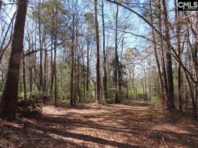 1672 Dixired Road Photo 45