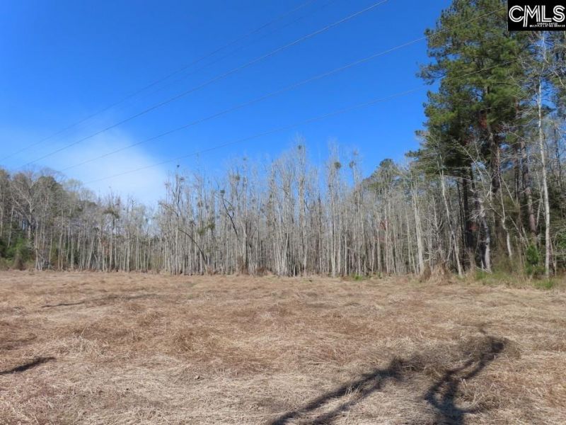 1672 Dixired Road Photo 47