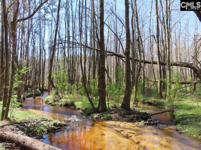 1672 Dixired Road Photo 48