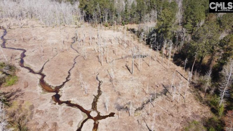 1672 Dixired Road Photo 49