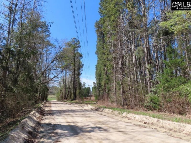 1672 Dixired Road Photo 5