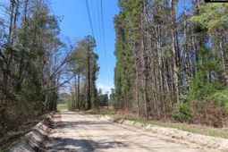 1672 Dixired Road photo 4