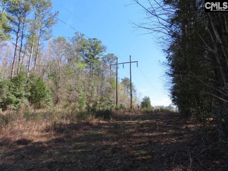 1672 Dixired Road Photo 50