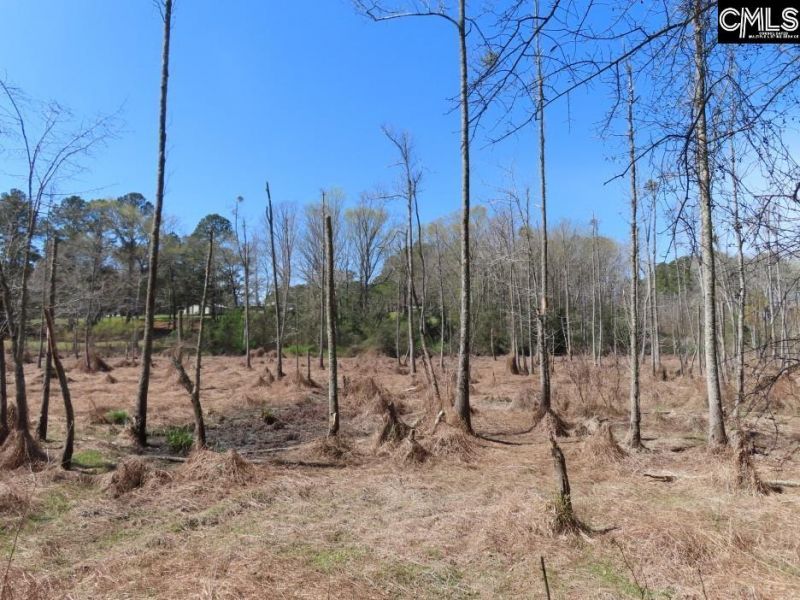 1672 Dixired Road Photo 52