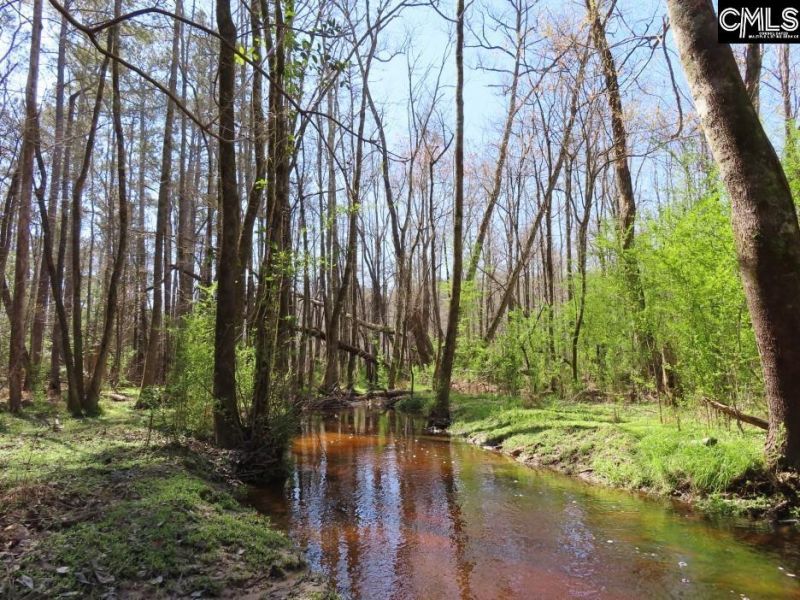 1672 Dixired Road Photo 53