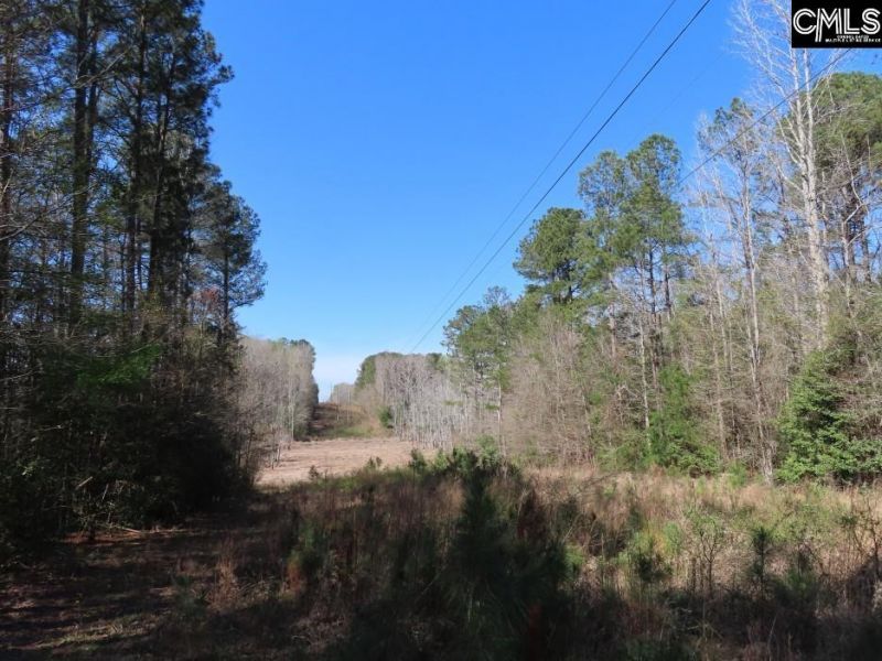 1672 Dixired Road Photo 54