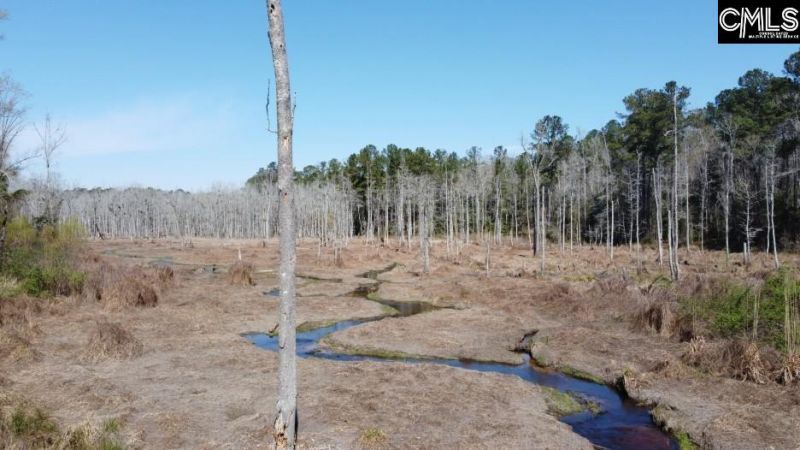 1672 Dixired Road Photo 55