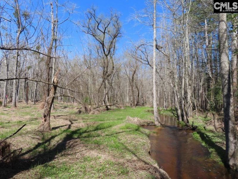 1672 Dixired Road Photo 60