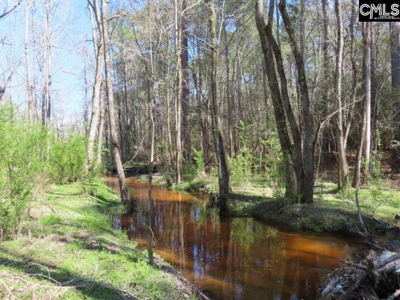 1672 Dixired Road Photo 62