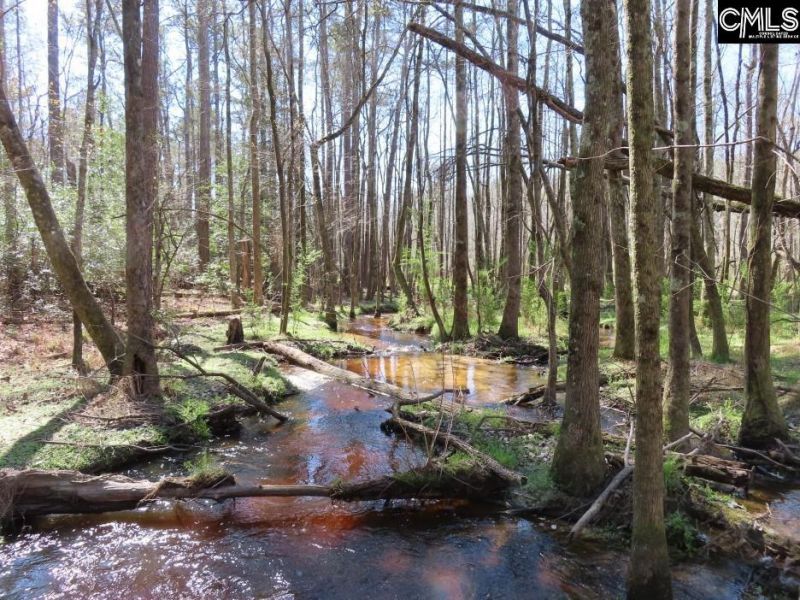 1672 Dixired Road Photo 63