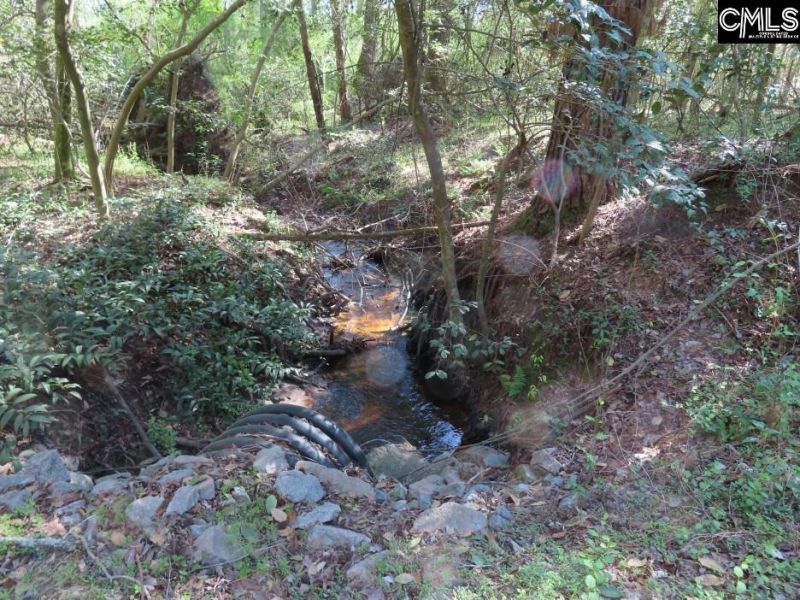 1672 Dixired Road Photo 65