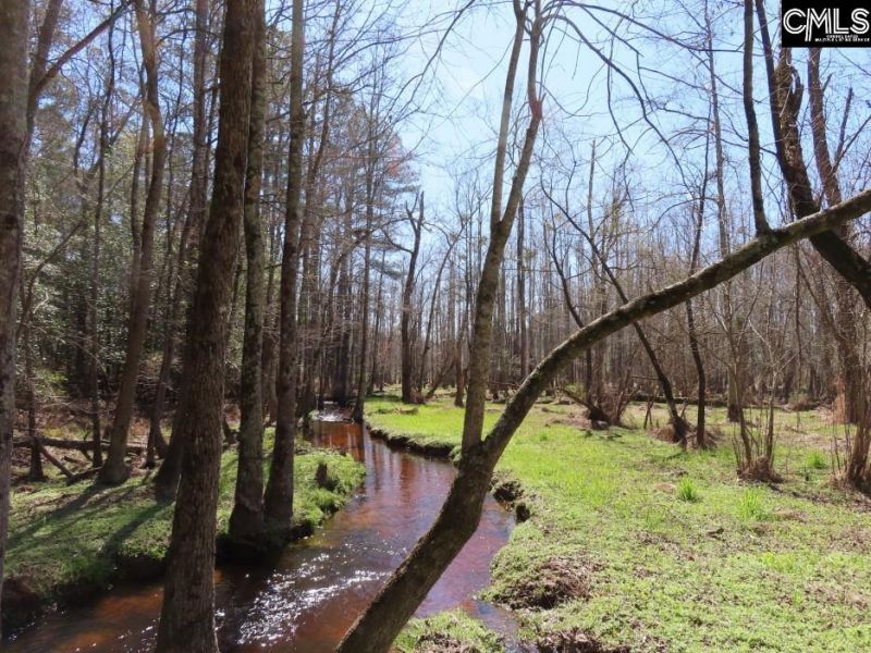 1672 Dixired Road Photo 7