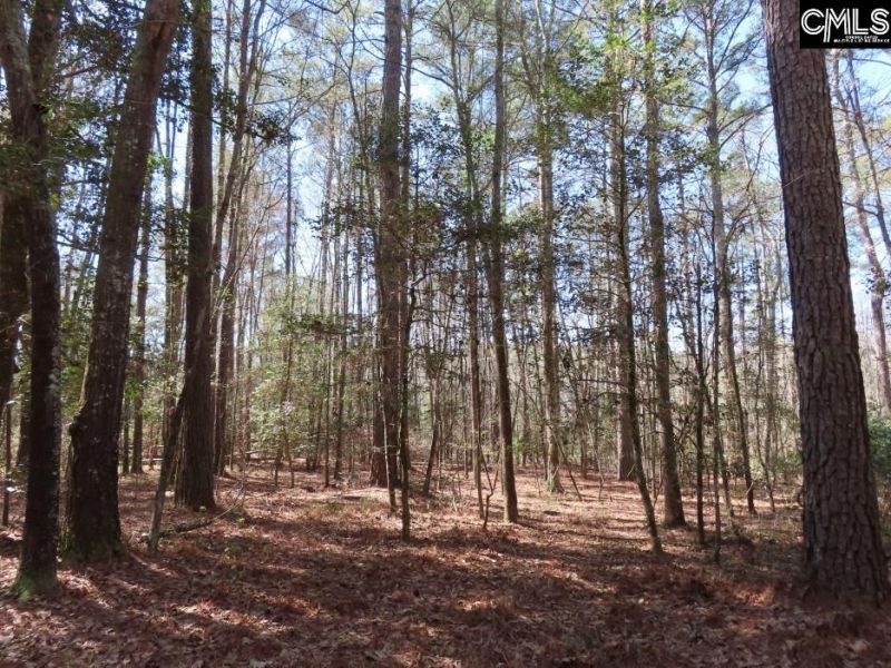 1672 Dixired Road Photo 8