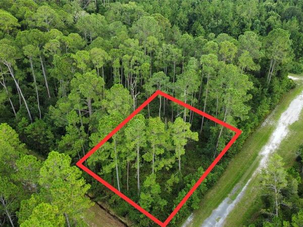 401 DOGWOOD AVENUE, GEORGETOWN, FL 32139