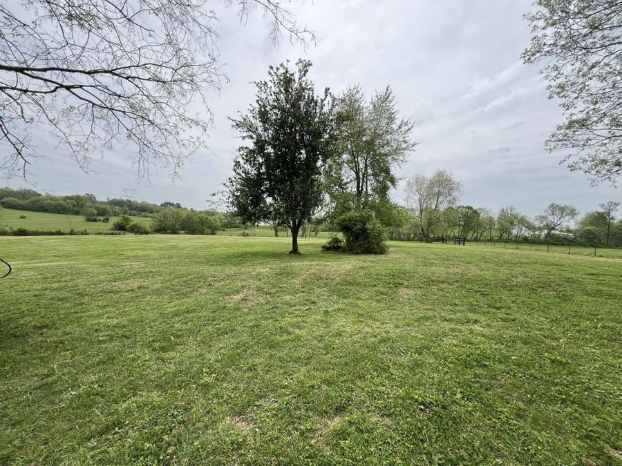 Property Image 97