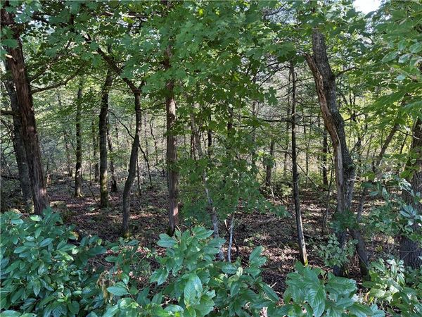 6 Puma Lane, Holiday Island, AR 72631