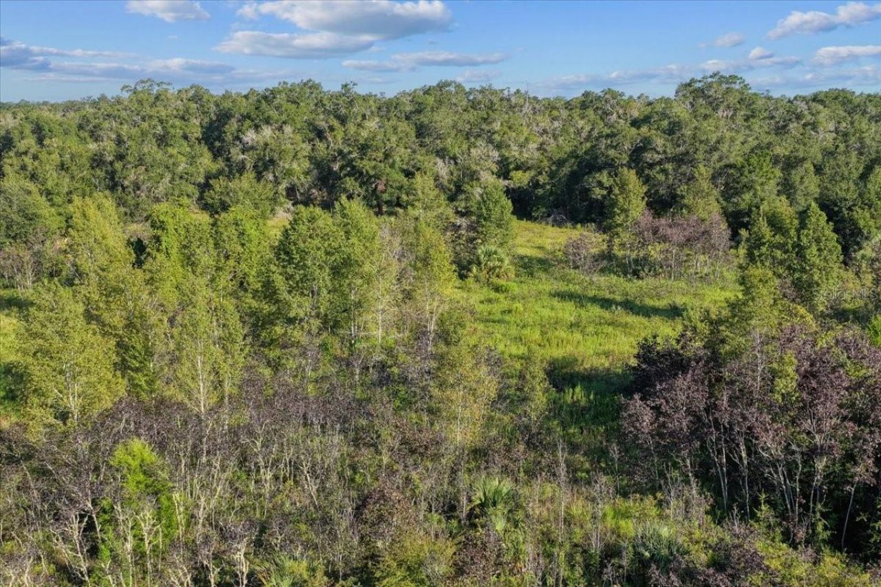 Ne Hwy 27th, Bronson, FL 32621 Photo