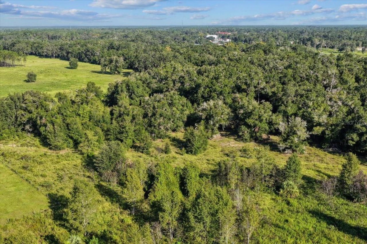 Ne Hwy 27th, Bronson, FL 32621 Photo