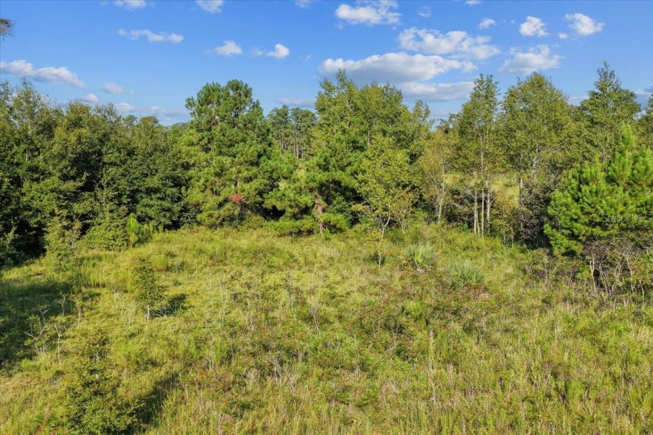 Ne Hwy 27th, Bronson, FL 32621 Photo