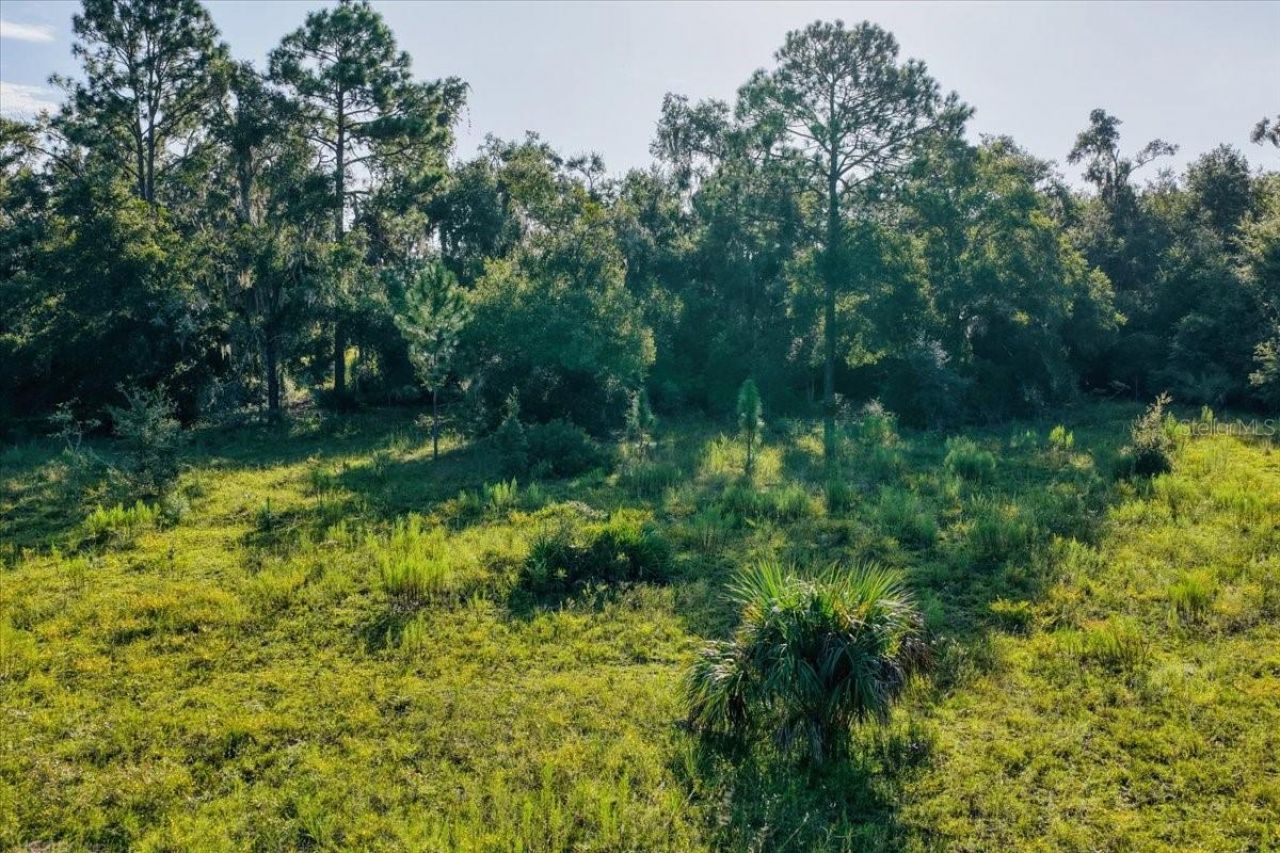 Ne Hwy 27th, Bronson, FL 32621 Photo