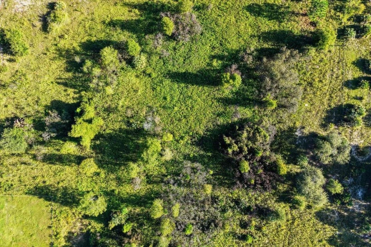 Ne Hwy 27th, Bronson, FL 32621 Photo